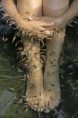 /album/galerie-photos/fishtherapy-jpg/